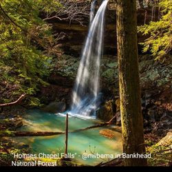 Bankhead National Forest - Holms Chapel Falls, Bankhead National Forest