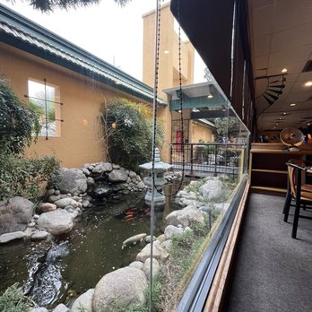 Golden Wok - Dim Sum Near Me - San Antonio, Texas