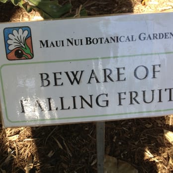 Maui Nui Botanical Gardens - warning - Botanical Gardens Near Me - Kahului, Hawaii Maui Nui Botanical Gardens - warning - Botanical Gardens Near Me - Kahului, Hawaii
