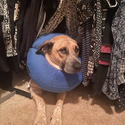 Post surgery Post surgery