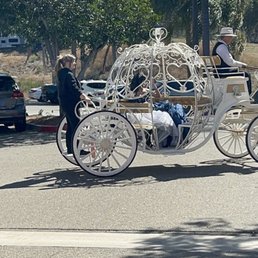 Horse carriage