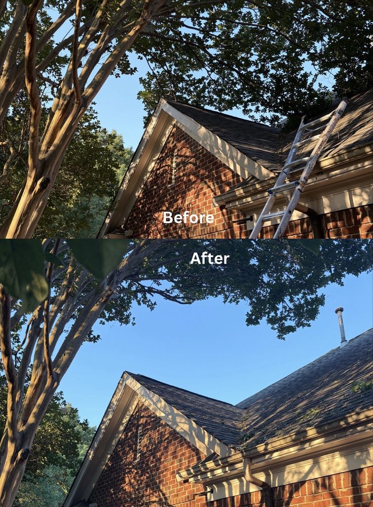 MTM Tree Services - tree service in Charlotte, NC