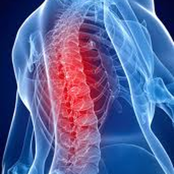 Real Health Chiropractic - Chiropractors Near Me - Moline, Illinois Real Health Chiropractic - Chiropractors Near Me - Moline, Illinois