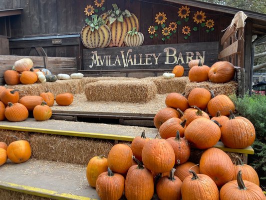 Avila Valley Barn by null
