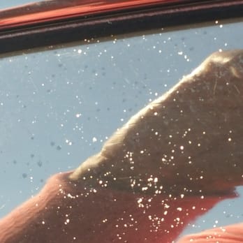 Suburban Car Wash North - What????? Why is this left on my window? Ughhhhhhhhhh - Car Wash Near Me - Milwaukee, Wisconsin Suburban Car Wash North - What????? Why is this left on my window? Ughhhhhhhhhh - Car Wash Near Me - Milwaukee, Wisconsin