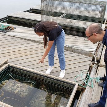 Glidden Point Oyster Farms - Seafood Markets Near Me - Edgecomb, Maine