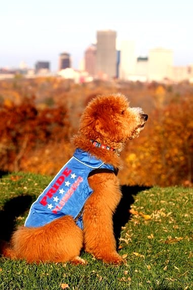 Slide of Pride Plumbing Services