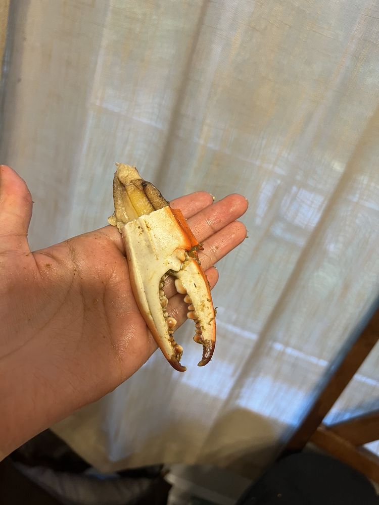 DECATUR CRAB HOUSE Updated October 2024 31 Photos & 56 Reviews