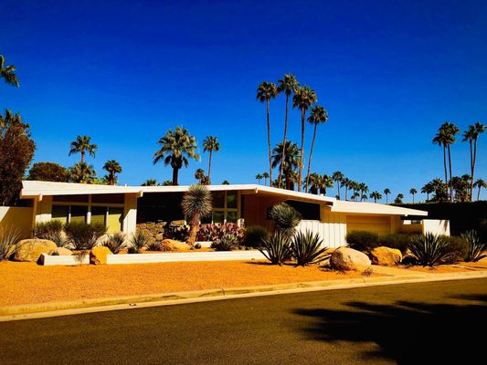 Palm Springs Mod Squad (Architecture Tours) by null