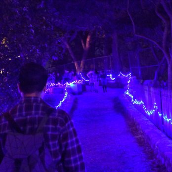 Pumpkin Nights - Festivals Near Me - Pomona, California