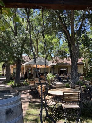 Castoro Cellars Vineyards & Winery by null