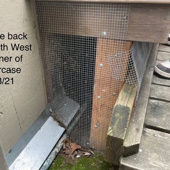 Proof It Pest Control - mesh - Pest Control Near Me