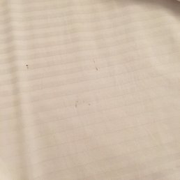 Dirty bed sheet appears to be blood stains Dirty bed sheet appears to be blood stains