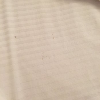 Ithaca of South Beach Hotel - Dirty bed sheet appears to be blood stains - Hotels Near Me - Miami Beach, Florida Ithaca of South Beach Hotel - Dirty bed sheet appears to be blood stains - Hotels Near Me - Miami Beach, Florida