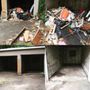 Photo of NC Cleanouts and Home Improvements