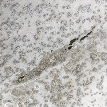 RealManage Dallas - Look closely and you can see a seedling growing in the crack of this rooftop balcony. - Homeowner Association Near Me - Plano, Texas RealManage Dallas - Look closely and you can see a seedling growing in the crack of this rooftop balcony. - Homeowner Association Near Me - Plano, Texas