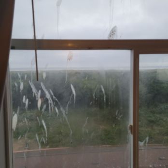 BayVue - Bird poop & dirty windows. - Hotels Near Me - Ocean Shores, Washington BayVue - Bird poop & dirty windows. - Hotels Near Me - Ocean Shores, Washington