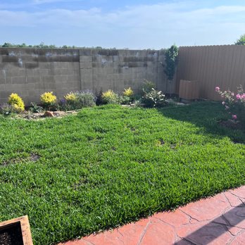 Hippie Fertilizing - Lawn Services Near Me Hippie Fertilizing - Lawn Services Near Me