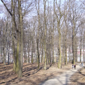 Lainzer Tiergarten - Zoos Near Me - Vienna, 9