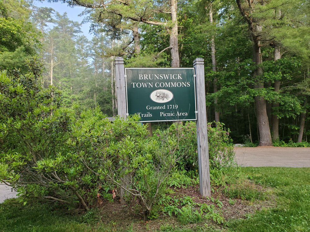 BRUNSWICK TOWN COMMONS Updated August 2024 21 Photos 228 Harpswell Rd, Brunswick, Maine