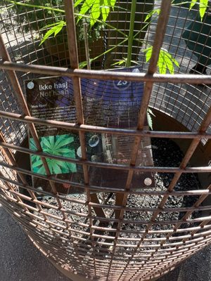 The Botanical Garden by null