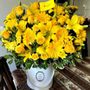 Photo of Hi Flower Shop