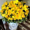 Hi Flower Shop gift card