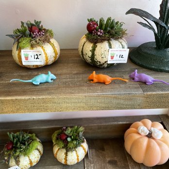 Undergrind Cafe - Some cute rats and Halloween decor - Cafes Near Me - Los Angeles, California Undergrind Cafe - Some cute rats and Halloween decor - Cafes Near Me - Los Angeles, California