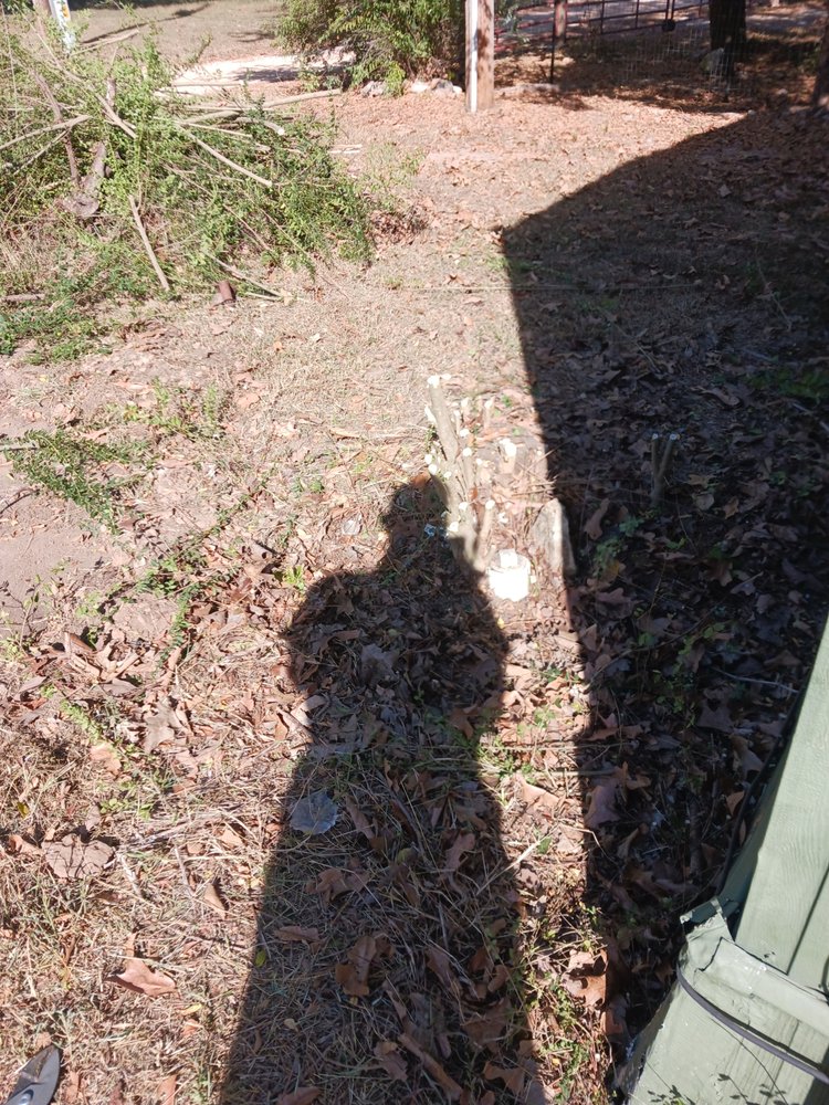 Slide of HDM Remodeling