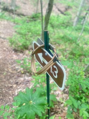 Brandywine Creek State Park by null