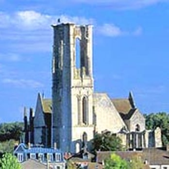 Basilique Saint Mathurin - Guest Houses Near Me - Larchant, 77
