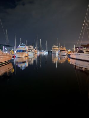 The Houseboats of Seville Harbour by null