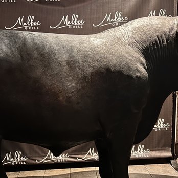 Malbec Grill - Cow - Steakhouses Near Me - Parkland, Florida