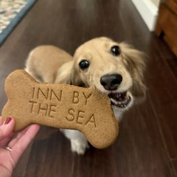 Complementary dog treats Complementary dog treats