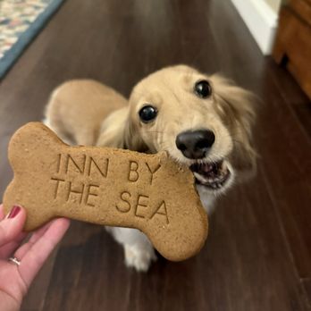 Inn by the Sea - Complementary dog treats - Hotels Near Me - Cape Elizabeth, Maine Inn by the Sea - Complementary dog treats - Hotels Near Me - Cape Elizabeth, Maine