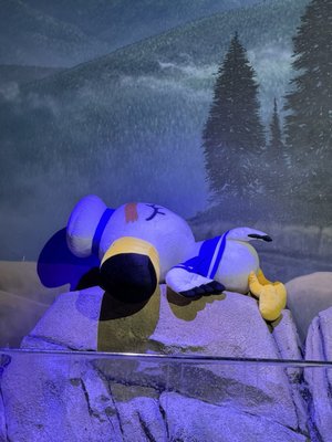 Tennessee Aquarium by null