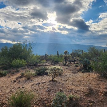 Saguaro National Park - Parks Near Me - Tucson, Arizona Saguaro National Park - Parks Near Me - Tucson, Arizona