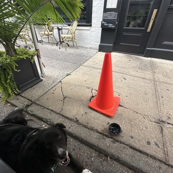 Mama's on the Half Shell - Bars Near Me - Baltimore, Maryland