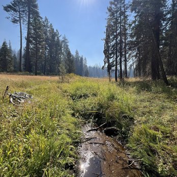 Quaking Aspen Campground - Campgrounds Near Me - Springville, California Quaking Aspen Campground - Campgrounds Near Me - Springville, California