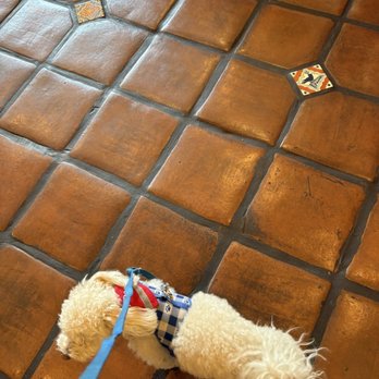 Ulew Coffee & Juice - I love their tile, hoping to get this for my kitchen. - Coffee & Tea Near Me - Los Angeles, California Ulew Coffee & Juice - I love their tile, hoping to get this for my kitchen. - Coffee & Tea Near Me - Los Angeles, California