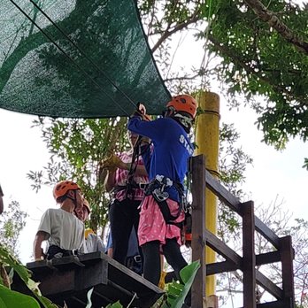 Rainforest Zipline Park - Tours Near Me - Rio Grande, Puerto Rico Rainforest Zipline Park - Tours Near Me - Rio Grande, Puerto Rico