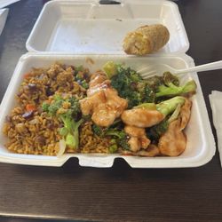 Yummy Cuisine - Chicken with Broccoli and egg roll