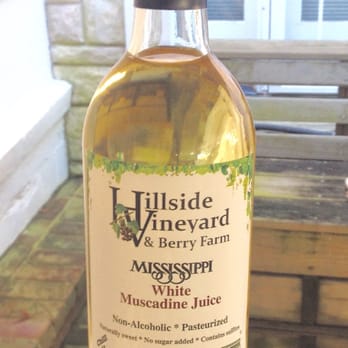 Hillside Vineyard and Berry Farm - Mississippi white muscadine juice - Pick Your Own Farms Near Me - Kosciusko, Mississippi Hillside Vineyard and Berry Farm - Mississippi white muscadine juice - Pick Your Own Farms Near Me - Kosciusko, Mississippi