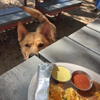 Waterloo Ice House 360 & 2222 - Waterloo Migas and a friend - American Near Me - Austin, Texas
