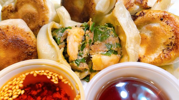 Dumpling The Noodle by null