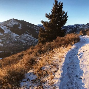 White Clouds Trailhead - Hiking Near Me - Sun Valley, Idaho White Clouds Trailhead - Hiking Near Me - Sun Valley, Idaho