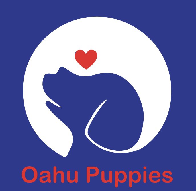OAHU_PUPPIES 154 Photos & 14 Reviews Kaneohe, HI Yelp