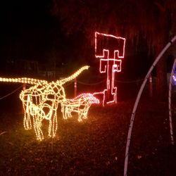 Dickinson Festival of Lights
