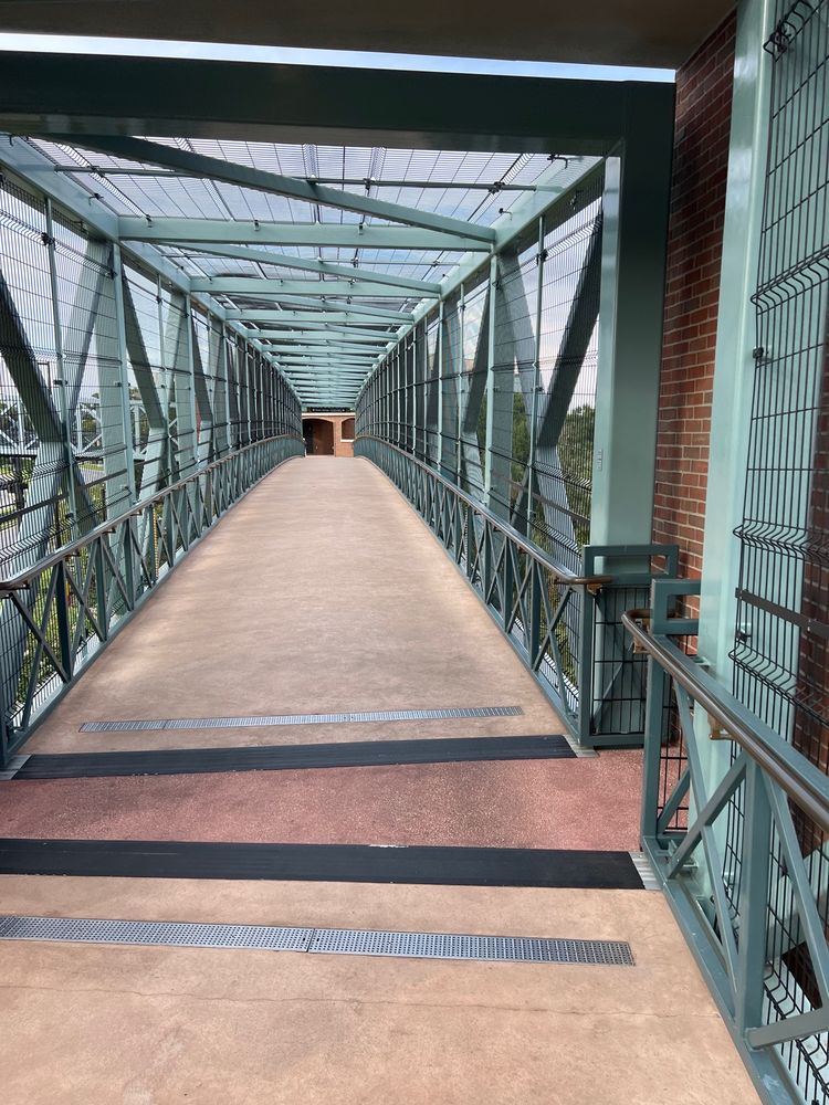 GRAPEFRUIT GARAGE Updated August 2024 1486 E Buena Vista Dr, Lake Buena Vista, Florida