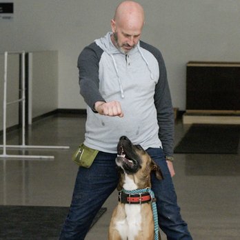 Condition K-9 - Dog trainer - Pet Training Near Me - Phoenix, Arizona